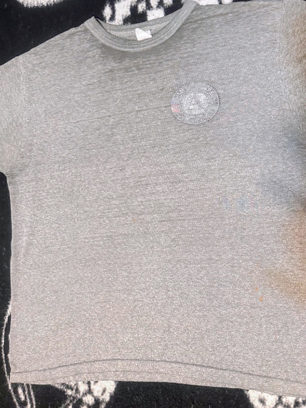Americorps- large -Gray